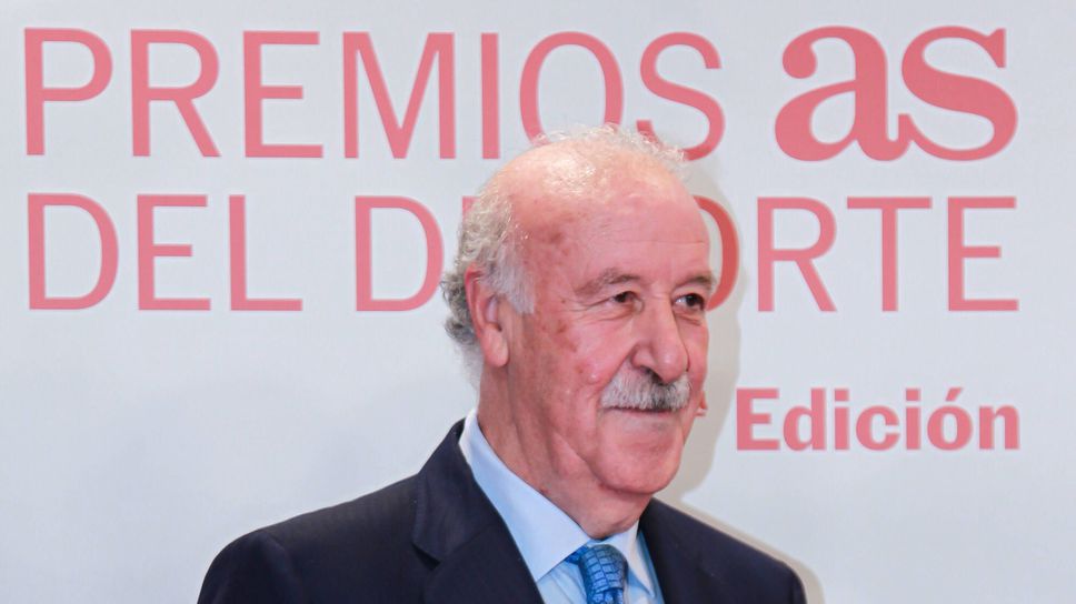 Висенте дел Боске ще оглави специална комисия, осъществяваща надзор на Испанската футболна федерация