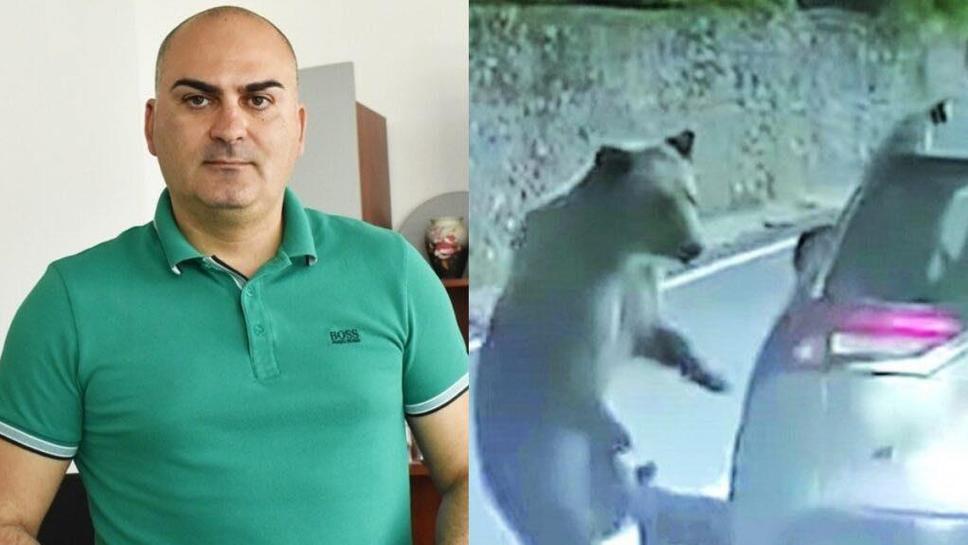 Георги Бижев: Мечката счупи стъклото и се опита с лапи да ме извади навън