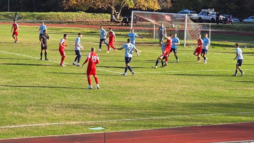 Хикс в Берковица