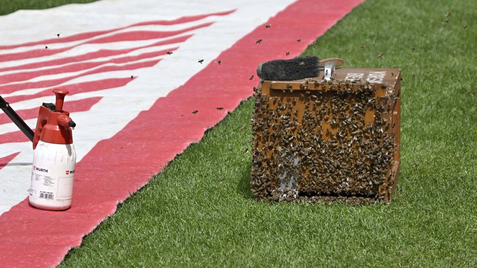 Съставите на Щутгарт и Байерн