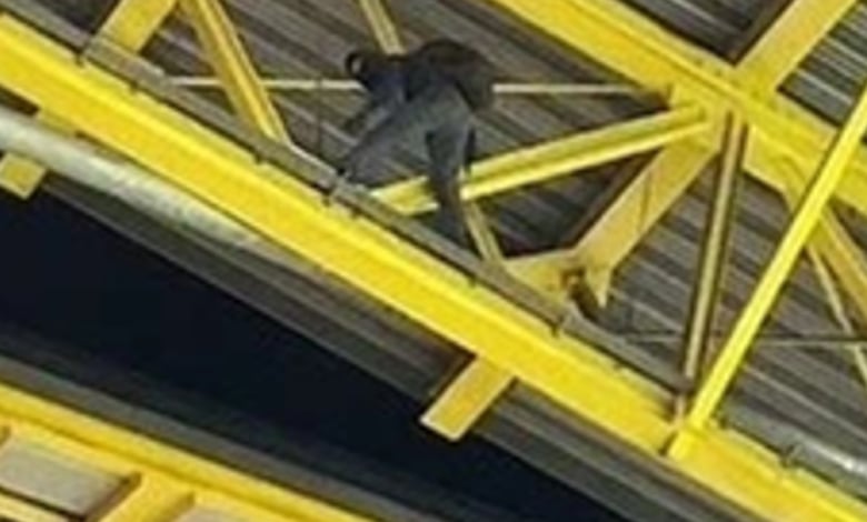 Разкриха кой е маскираният с раницата, всял смут на Европейското